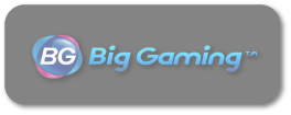BigGaming